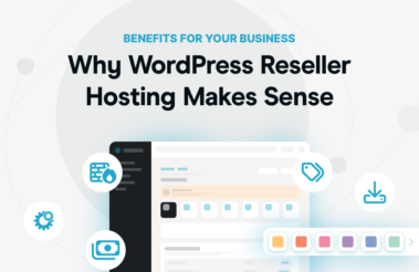 Why WordPress Reseller Hosting Makes Sense